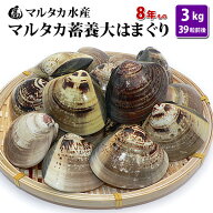 【送料無料】 蓄養大はまぐり　8年もの6cm〜8cmサイズ蛤(ハマグリ)3kg（39粒前後）入♯貝 はまぐり ハマ…