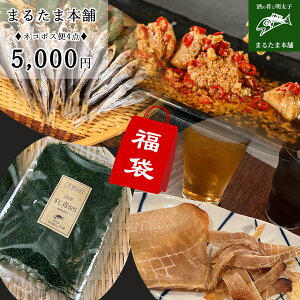 _  ^ ܂ tOƖq̃Aq[W GC݂250g ̂5g×2 ߃CVۊ100g 񂹃O