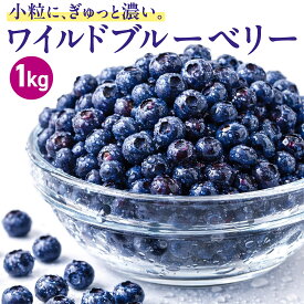 冷凍ブルーベリー 1kg ワイルドブルーベリー 大容量 お徳用 送料無料 冷凍