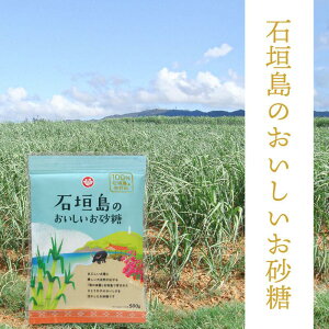 yΊ_̂ zэ 500g Ί_̂Ƃ100 َq zbgP[L NbL[  R[q[ g -BITOYA 500g×1  ۑɕ֗ȃ`bNt