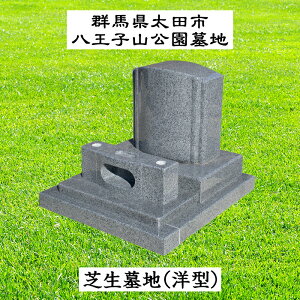 yŐnz Őn  m^ O[eΑcs qRnyHz