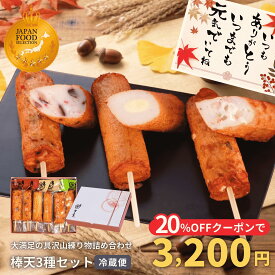 【20％OFFクーポンで3,200円★24日(木)01:59まで】 楽天1位獲得 棒天 3種6本入 タコ チーズ エビ 食べ比べ さつま揚げ 練り物 蒲鉾 晩酌 おつまみ 家飲み ビールに合う 日本酒 おかず 敬老の日 ギフト 2026 3000円 冷蔵 お取り寄せ 送料無料 伊勢 まる天