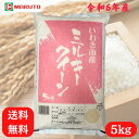 令和6年産 いわき市産 ミルキークイーン 福島県産 お米 米 こめ 5kg 送料無料 福島 5キロ マルト 白米