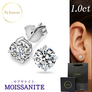 ATiCg sAX 1ct X^bhsAX 0.5ct ×2 ꗱ p fB[X AM[ Ή _Ch 2.5{̋P a v[g av[g Mtg j Y  l