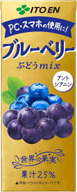 伊藤園 ブルーベリーミックス 200ml×24本 エコパック 紙パック フルーツジュース (2ケース以上送料無料_おまとめ注文用)