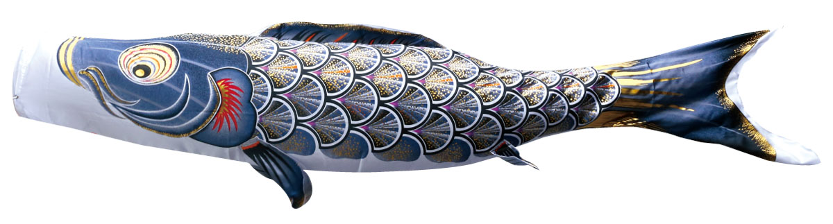 楽天市場】鯉のぼり 単品 一匹単位真 太陽 単品鯉のぼり 2m 口金具付き 