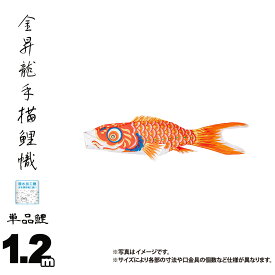 鯉のぼり 単品 金昇龍手描鯉 1.2m 口金具付き カラー 赤鯉 木綿製 撥水加工 はっ水加工 日本製 ダイヤ鯉 KOD-T-748004R こいのぼり 鯉 鯉幟 単体 1匹 1本 追加 買い替え