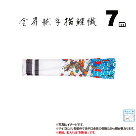 吹流し 単品 手描き金昇龍吹流し 7m 口金具付き 木綿製 撥水加工 はっ水加工 家紋/名入れ不可 日本製 ダイヤ鯉 KOD-T-749007F 吹き流し 鯉のぼり こいのぼり 鯉 鯉幟 単体 1匹 1本 追加 買い替え