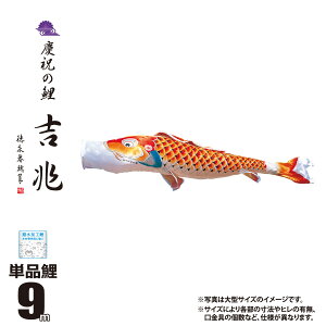 ̂ڂ Pi g 9m t J[ Ԍ |GXe H ͂H { îڂ KOT-T-000-551 ̂ڂ   P 1C 1{ ǉ ւ