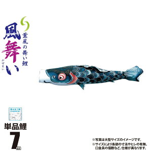 ̂ڂ Pi  7m t J[  |GXe H ͂H { îڂ KOT-T-000-851 ̂ڂ   P 1C 1{ ǉ ւ