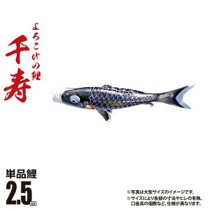 ̂ڂ Pi  2.5m t J[  |GXe H ͂H { îڂ KOT-T-001-341 ̂ڂ   P 1C 1{ ǉ ւ