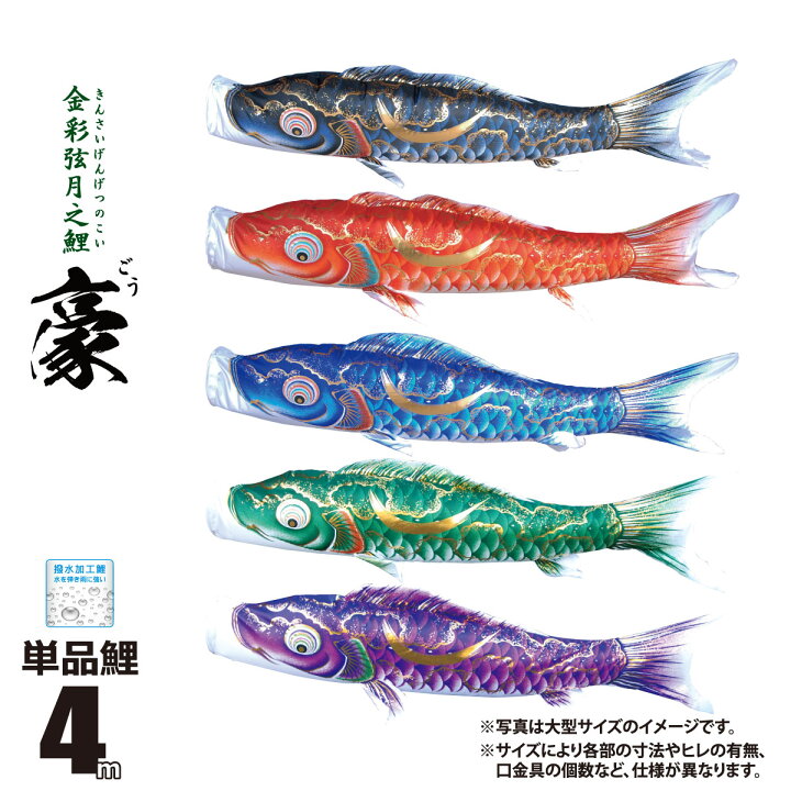 皇彩鯉4m ひびき 6点セット(吹流し青、緑鯉1.5m付)