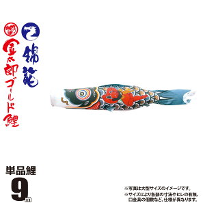 ̂ڂ Pi ї YS[h 9m t J[ Y |GXe { îڂ KOT-T-003-236 ̂ڂ   P 1C 1{ ǉ ւ