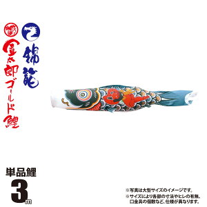 ̂ڂ Pi ї YS[h 3m t J[ Y |GXe { îڂ KOT-T-003-246 ̂ڂ   P 1C 1{ ǉ ւ