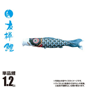 ̂ڂ Pi FT 1.2m t J[  |GXe îڂ KOT-T-003-576 ̂ڂ   P 1C 1{ ǉ ւ