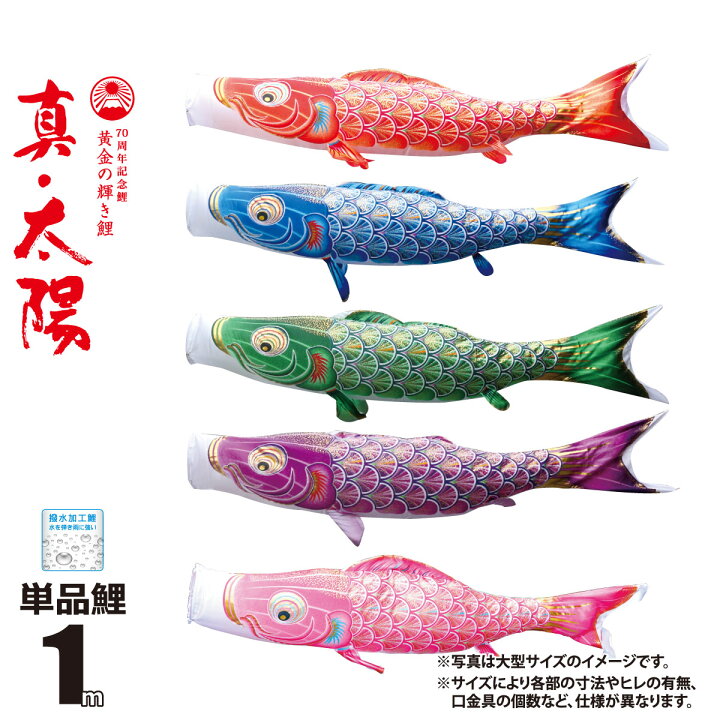 楽天市場】鯉のぼり 単品 真・太陽 1m 口金具付き カラー 赤鯉|青鯉|緑 