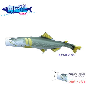 }ӃV[Y ̂ڂ萅 ̂ڂ 2m t |GXe îڂ KOT-T-152-712 ̂ڂ   P 1C 1{ ǉ ւ