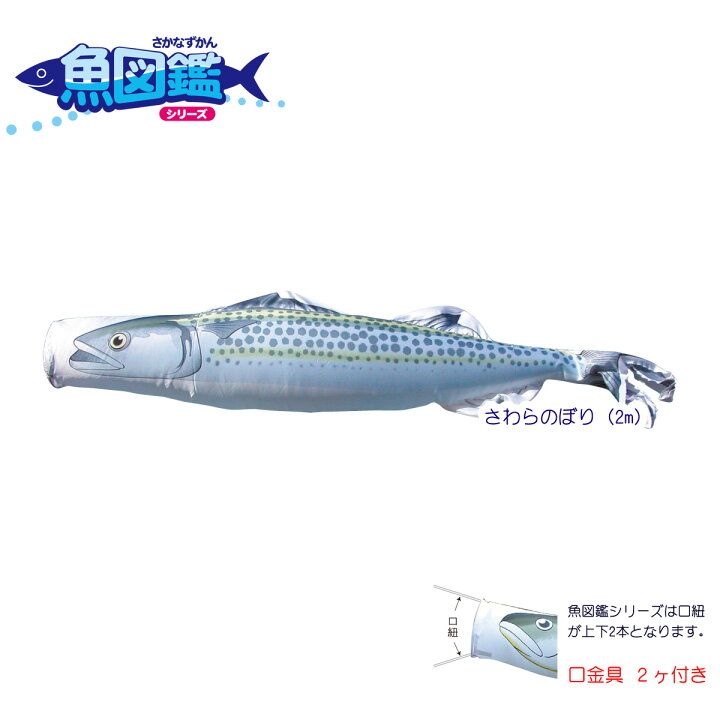 楽天市場 1匹単位での販売 魚図鑑 さわらのぼり 2m Koi Tpk 152 713 口金具付き ポリエステルドビー生地 鯉のぼり 単品 こいのぼり 表示価格は1匹の価格です Rcp 人形の丸富