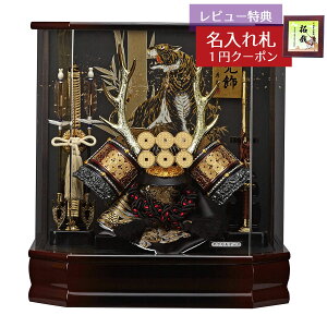 ܌l`  P[X ^c  ԃ{JV ZpANP[X IS[t GOFO-165-719 2025N ߋ RpNg   _ CeA P[X AN