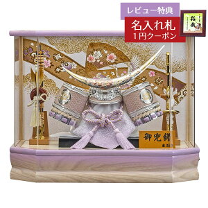 ܌l`  P[X Zpt ɒB@   ؖ Zp zCgI[N {JV ANP[X GOFO-225-733 2026N ߋ RpNg   _ CeA 