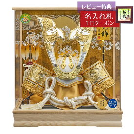 五月人形 藤翁 着用兜ケース飾り 着用 竜王 大鍬型 着用兜飾り 白木 木目 栓 アクリルケース GOFO-225-783 2026年 初節句 コンパクト おしゃれ かっこいい モダン インテリア 着用兜ケース飾り アクリルケース飾り着用 兜 ケース飾り [P10]