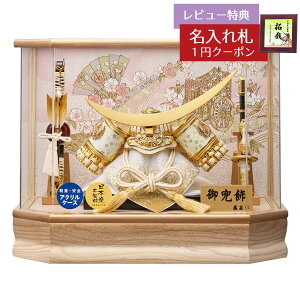 ܌l`  P[X R ɒB@   ؖ Zp zCgI[N {JVh ANP[X GOFO-235-737 2026N ߋ RpNg   _ CeA 