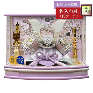 ܌l`  P[X ͂  ׍HL^  R^ pXeJ[ ANP[X GOFO-245-718 2026N ߋ RpNg   _ CeA P[