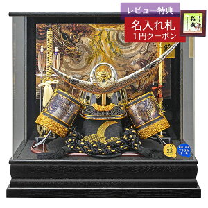 ܌l`  pP[X 㐙 p O ANP[X GOFO-245-769 2025N ߋ   _ CeA pP[X ANP[X蒅p  P