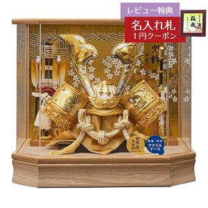 ܌l`  P[X ZpR グL^   ؖ Zp ANP[X GOFO-255-705 2026N ߋ RpNg   _ CeA P[X AN