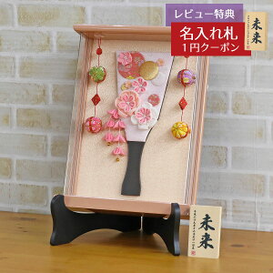 Hq  z ܂ݍ׍H Hq sN Ǌ| z p[sNh fA邵t ANP[X X^hZbg HGBZ-E2716-H14S  CeA 킢 ߋ 