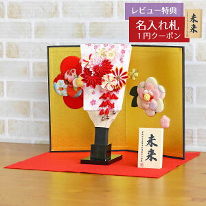 Hq  ~jHq ܂ݍ׍H ԋe 3-57 t ԖJ ~zZbg HGH-H25-RK17  CeA 킢 ߋ ̎q  ~jTCY  RpNg H