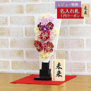 Hq  ~jHq ܂ݍ׍H Hq zCg ~zZbg HGH-NO5  CeA 킢 ߋ ̎q  ~jTCY  RpNg Hq