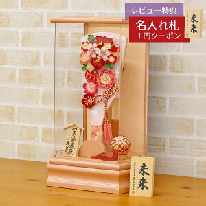 Hq  v ~jHq 9 ܂ݍ׍H Hq ԉ p[sNh ZpANP[X HGQ-Q03-H10  CeA 킢 ߋ ̎q  ~jTCY v l