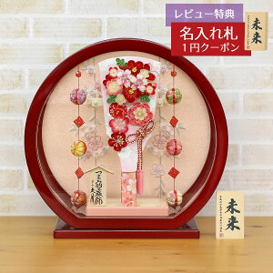 Hq  v ~jHq 9 ܂ݍ׍H Hq ԉ hh fOA邵t ~` ی^ANP[X HGQ-Q03-H12  CeA 킢 ߋ ̎q  ~jT