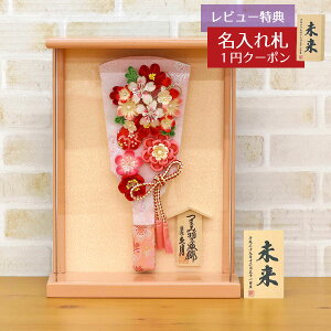 Hq  v z 9 ܂ݍ׍H Hq ԉ Ǌ| z p[sNh ANP[X HGQ-Q03-H47  CeA 킢 ߋ ̎q  ~jTCY v