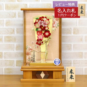 Hq  v ~jHq 9 ܂ݍ׍H Hq ԉ  ؖ ANP[X HGQ-Q04-TG05  CeA 킢 ߋ ̎q  v l`̋v GHq