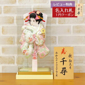 Hq  g RpNg P[X 8 WFHq /O[ gȂ ANP[X HGY-245-028  CeA 킢 ߋ ̎q  ~jTCY g