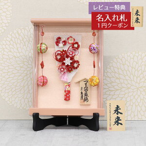 Hq  v z 6 ܂ݍ׍H Hq  p[sNh Ǌ| z fA邵t ANP[X X^ht HGQ-Q22-H63S  CeA 킢 ߋ 