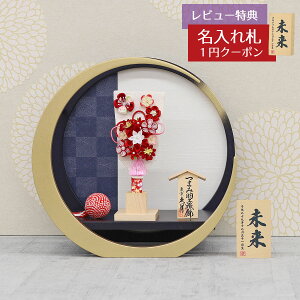 Hq  v ~jHq 6 ܂ݍ׍H Hq  ~`ی^ s O HGQ-Q22-TG02  CeA 킢 ߋ ̎q  ~jTCY v l`̋v 