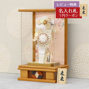 Hq  v ~jHq 9 ܂ݍ׍H t Hq   ؖ ANP[X HGQ-Q25-TG05  CeA 킢 ߋ ̎q  v l`̋v GHq