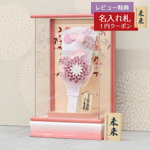 Hq  v ~jHq 9 ܂ݍ׍H t Hq  p[/sNh ANP[X HGQ-Q26-H09  CeA 킢 ߋ ̎q  ~jTCY v