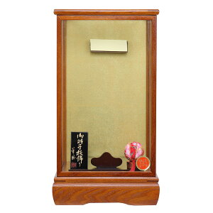 Hq  HqpP[X 10  ؖ ˕t KXP[X 10Hqp iHqʔj HGF-1116-10-030  CeA 킢 ߋ ̎q  Hqp P[X