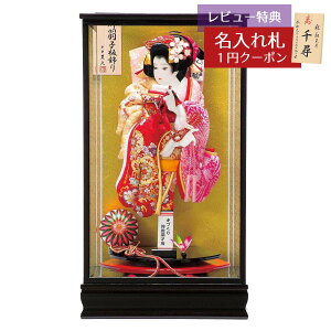 Hq  Lv P[X 13 t ʎKX hP[X HGH-HJ-009  CeA 킢 ߋ ̎q  P[X GHq P[XZbg [P10]