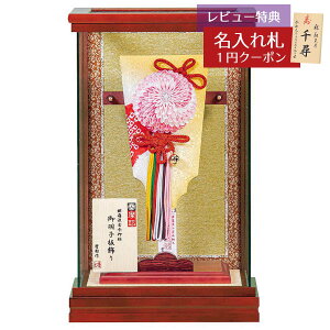 Hq  Lv RpNg P[X 8  P  pm}KXP[X HGH-HJ-034  CeA 킢 ߋ ̎q  ~jTCY ȃXy[X ~