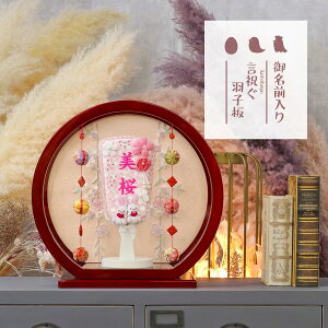 Hq  Hq hイ O Hq H ܂ݍ׍H hh fOA邵t ~` ی^ANP[X HGI-7671-01-H12  CeA 킢 ߋ ̎q 