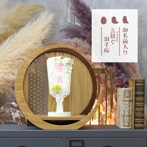 Hq  Hq hイ O Hq ut[ [Xt[ ̗t͗l ؐ ~` O` () HGI-7671-03-H17  CeA 킢 ߋ 