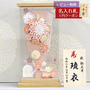 Hq  v ~jHq 9 ܂ݍ׍H T[ ANP[X t HGQ-16570-1  CeA 킢 ߋ ̎q  ~jTCY v l`̋v 