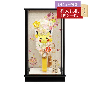 Hq  v P[X 9 |P܂݉Hq sJ`E KXP[X t8A Zbg HGQ-3992-4221  CeA 킢 ߋ ̎q  ~jTCY v l