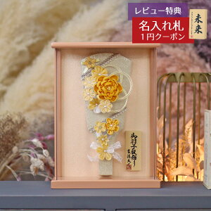 Hq  g z 8 ܂ݍ׍H  Hq CG[ Ǌ| z p[sNh ANP[X HGY-201-597-H47  CeA 킢 ߋ ̎q 