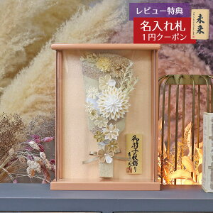 Hq  g z 8 ܂ݍ׍H  Hq AC{[ Ǌ| z p[sNh ANP[X HGY-201-598-H47  CeA 킢 ߋ ̎q 